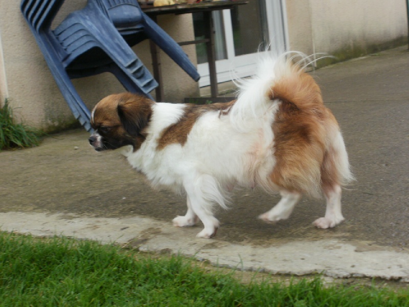 Publication : de la pommeraie du jet