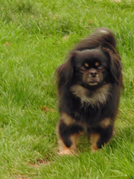 Publication : d'un Amour Ephemere