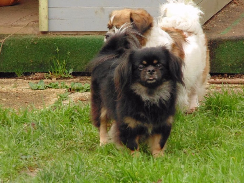 Publication : d'un Amour Ephemere