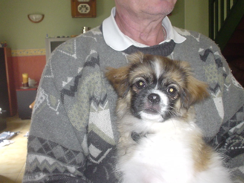 Publication : de la pommeraie du jet