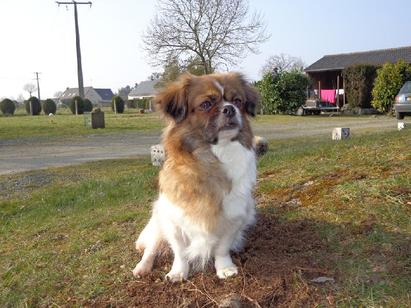 Publication : de la pommeraie du jet