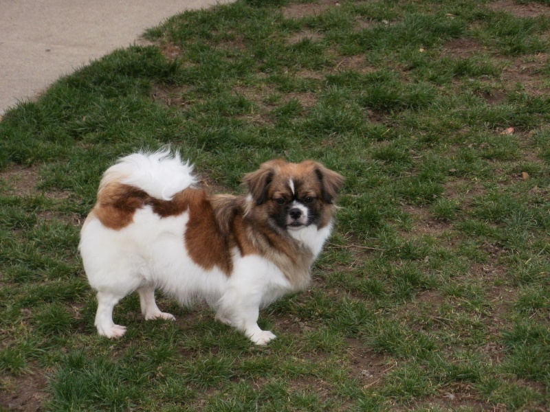 Publication : de la pommeraie du jet