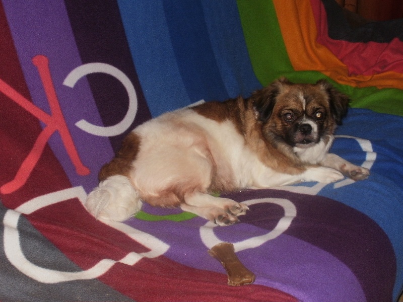 Publication : de la pommeraie du jet