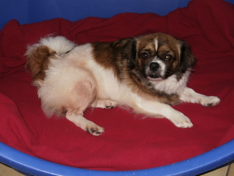 Publication : de la pommeraie du jet