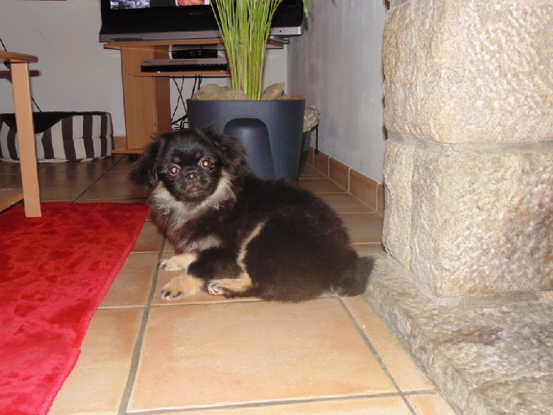 Publication : d'un Amour Ephemere