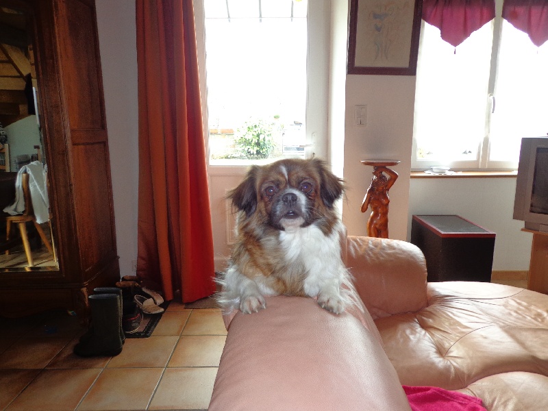 Publication : de la pommeraie du jet