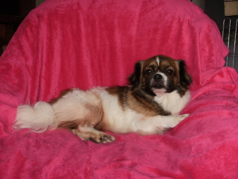 Publication : de la pommeraie du jet