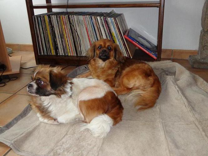 Publication : de la pommeraie du jet