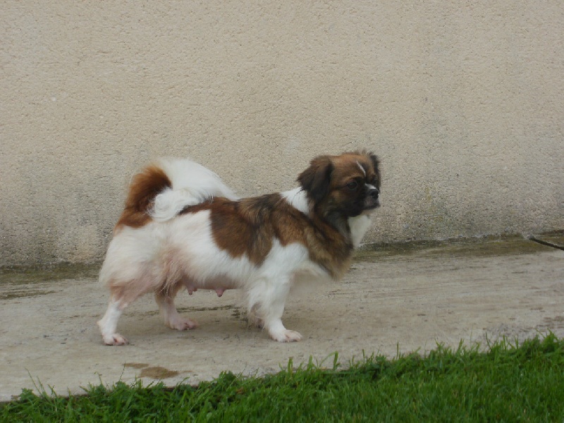 Publication : de la pommeraie du jet