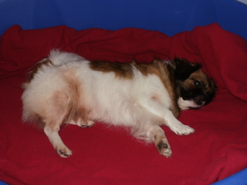 Publication : de la pommeraie du jet