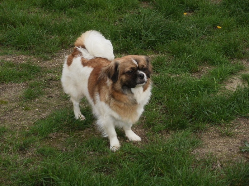 Publication : de la pommeraie du jet