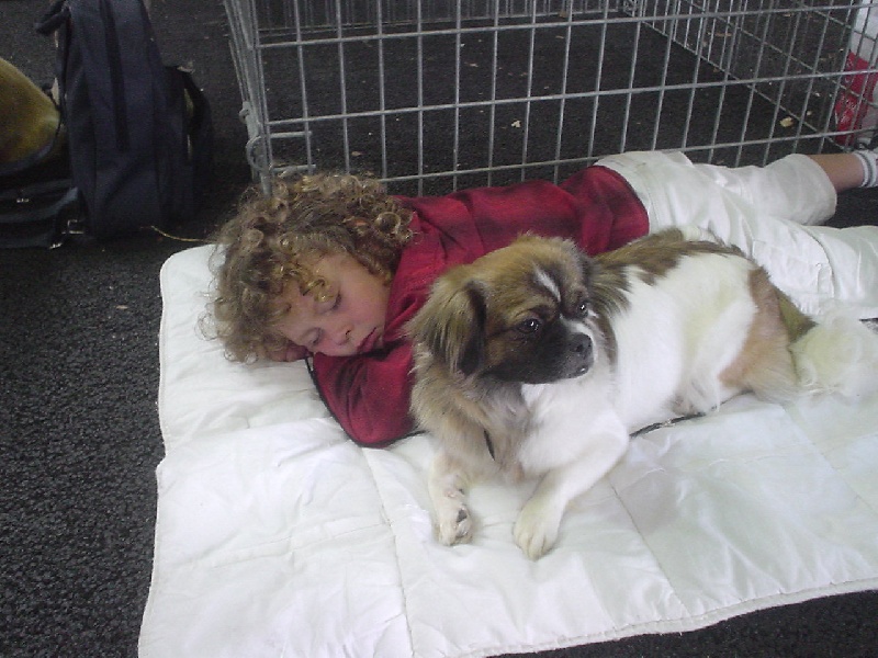 Publication : de la pommeraie du jet