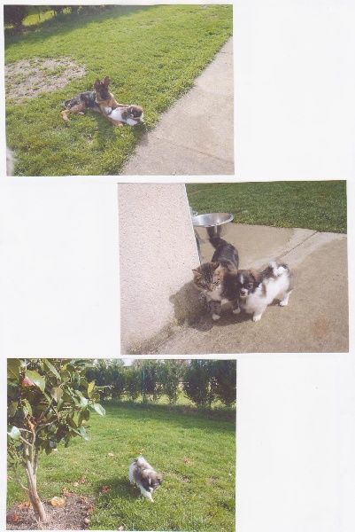 Publication : de la pommeraie du jet