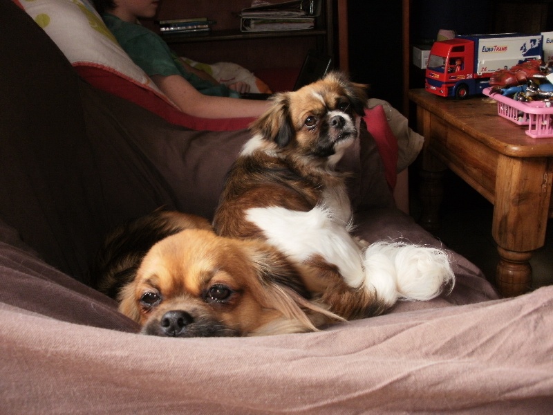 Publication : de la pommeraie du jet