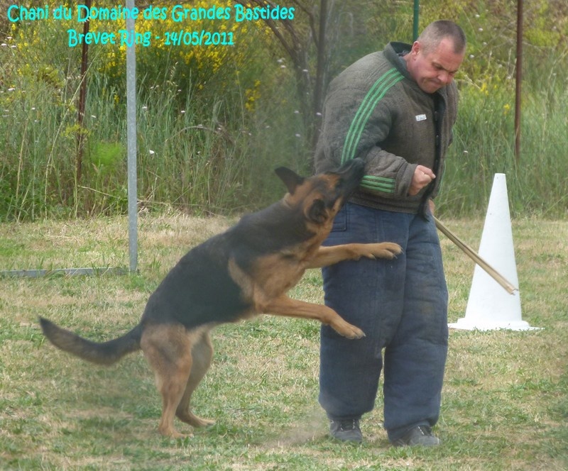 Chani du domaine des grandes bastides