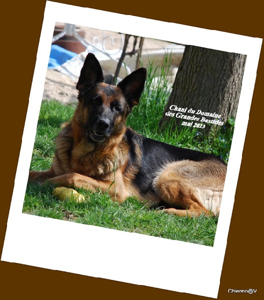 Chani du domaine des grandes bastides