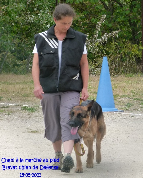 Chani du domaine des grandes bastides