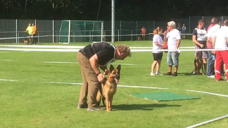 Publication : des Loups de L'etoile