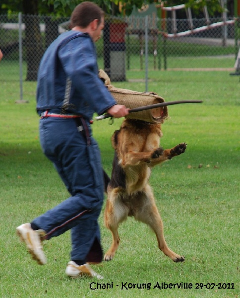 Chani du domaine des grandes bastides