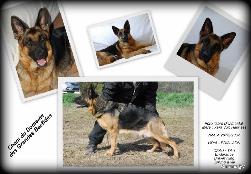 Chani du domaine des grandes bastides