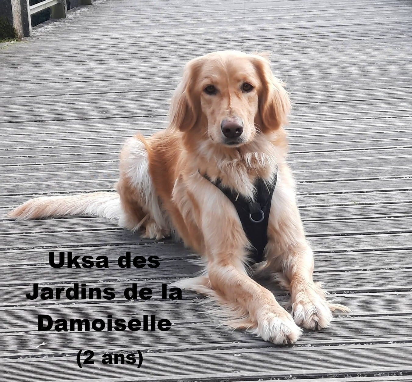 Uksa des Jardins de la Damoiselle