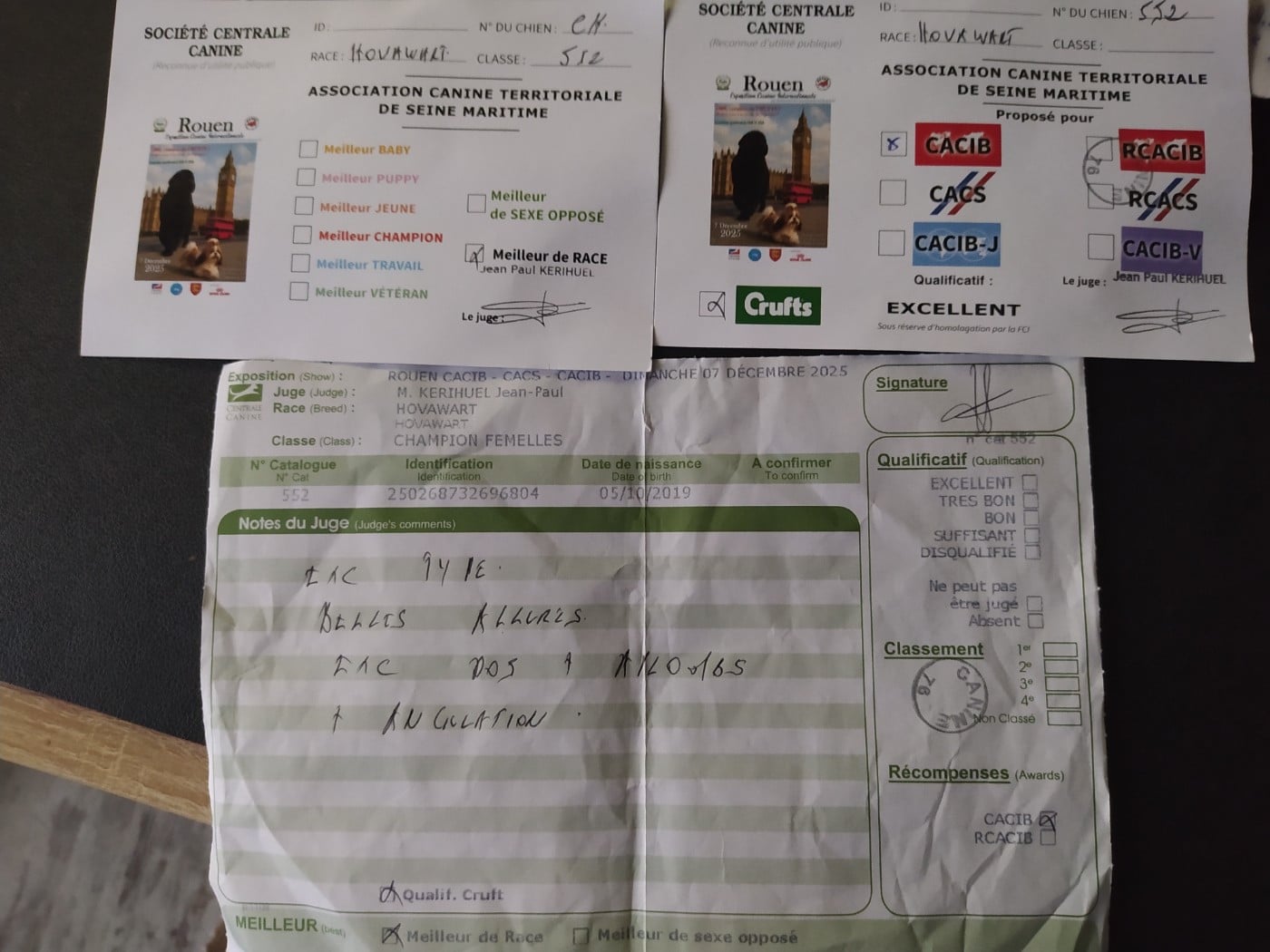 CH. Phuket des Jardins de la Damoiselle - 1er,Excellent, CACIB, BOB, & Qualif. CRUFT