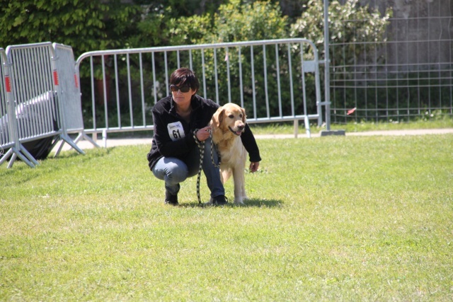 CH. Chana de l'Anse de Malfalco - 1ère Excellent en classe champion