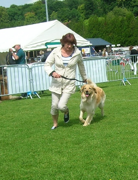 CH. Chana de l'Anse de Malfalco - BOB, CACS, 1ère excellente classe intermédiaire