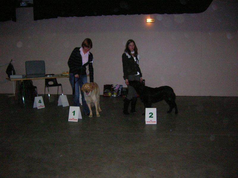 CH. Chana de l'Anse de Malfalco - 1ère excellente classe Jeune