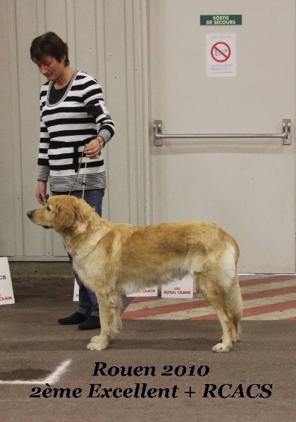 CH. Chana de l'Anse de Malfalco - 2ème EXCELLENT + RCACS en classe ouverte