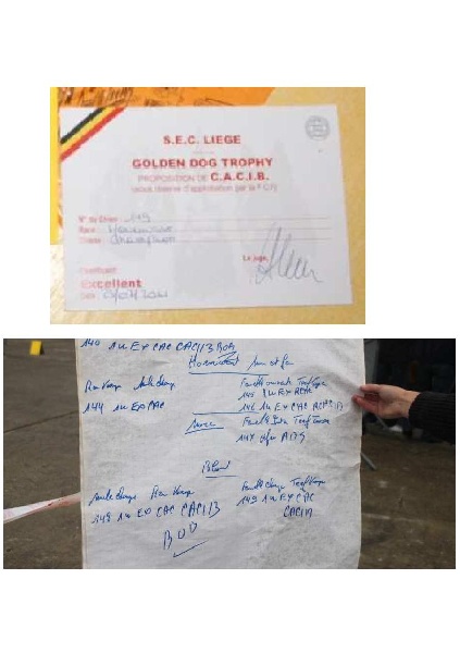 CH. Chana de l'Anse de Malfalco - R-CACIB, CAC, 1ère Excellent en classe champion