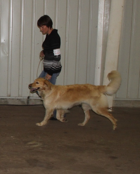 CH. Chana de l'Anse de Malfalco - 2ème excellente classe ouverte