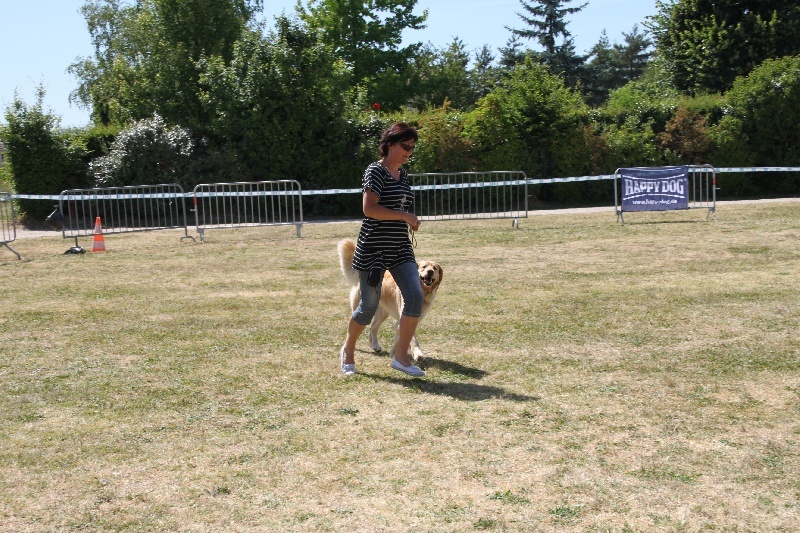 CH. Chana de l'Anse de Malfalco - 3ème Excellent en classe champion