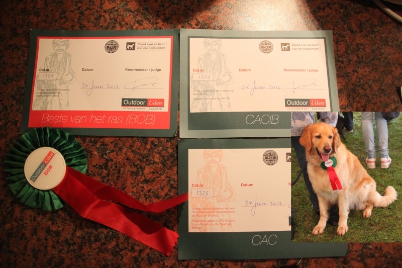 CH. Chana de l'Anse de Malfalco - BOB + CACIB + CAC + 1ère Excellent en classe champion