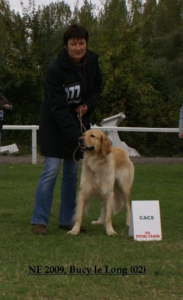 CH. Chana de l'Anse de Malfalco - CACS, 1ère excellente, meilleure femelle + Titre IHF en classe ouverte