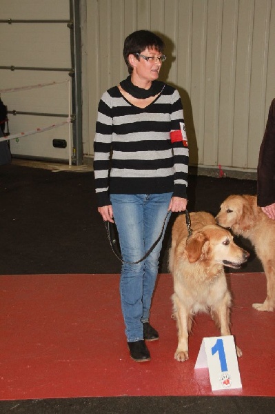 CH. Chana de l'Anse de Malfalco - R-CACIB + 1ère Excellent