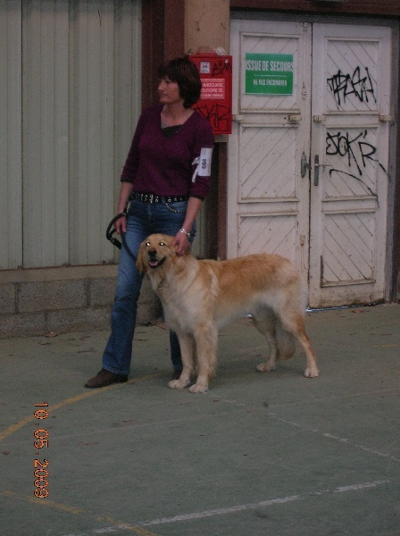 CH. Chana de l'Anse de Malfalco - RCACIB - RCACS - 1ère excellente classe intermédiaire