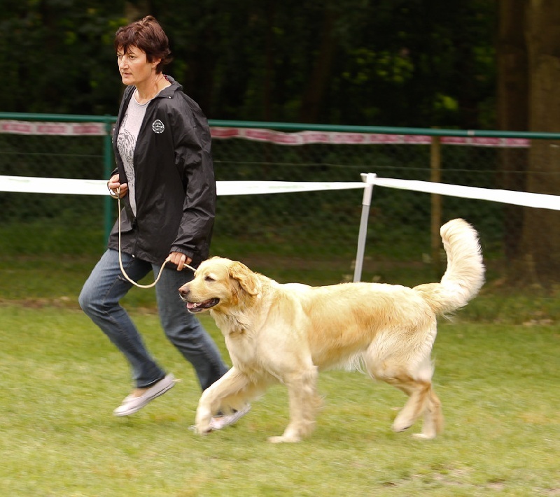 CH. Chana de l'Anse de Malfalco - 1ère excellent + CAC en classe champion