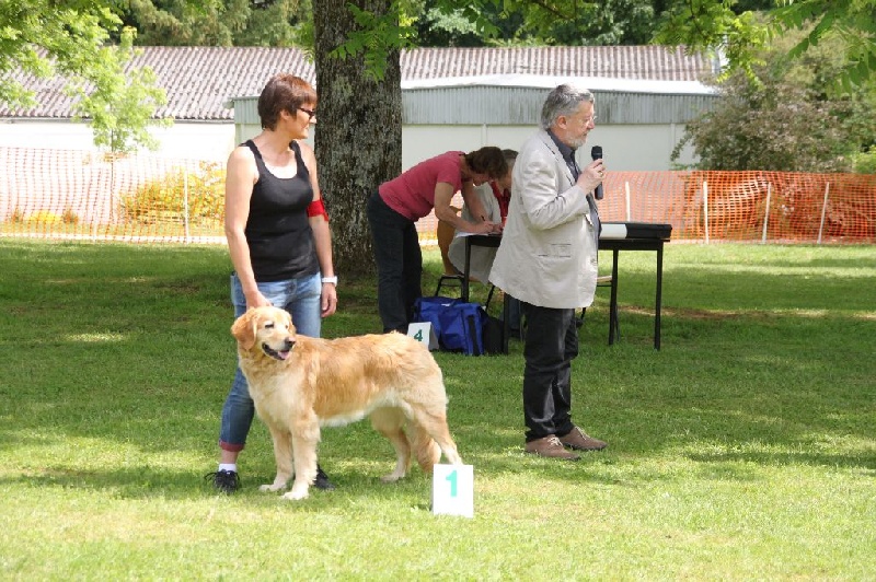 CH. Chana de l'Anse de Malfalco - 1er EXCELLENT