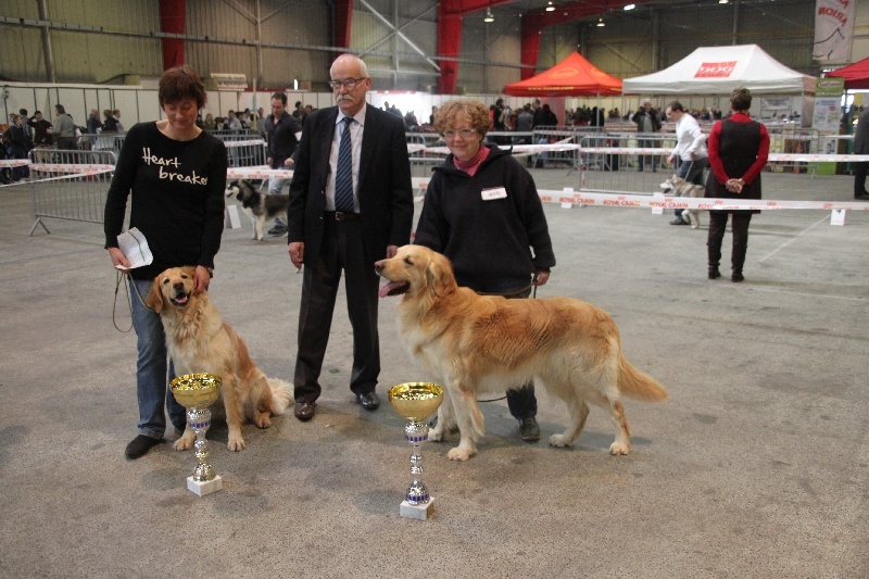 CH. Chana de l'Anse de Malfalco - 1ère EXC + CACS + CACIB en classe ouverte