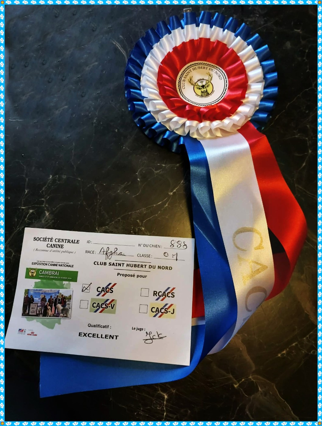 CH. Du Troisieme Jour Uzziel de Shante et Sovereign - 1er exc CACS