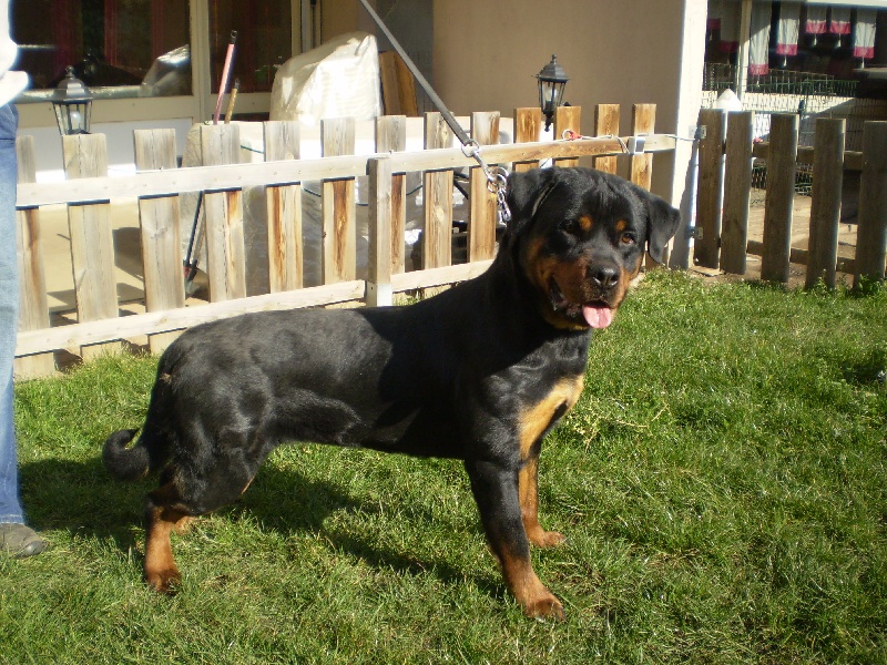 Publication : des princes d'aragone