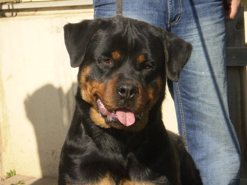 Publication : des princes d'aragone