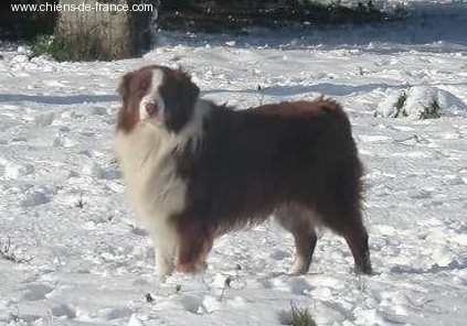 Rasta De la ferme de biesse