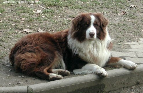 Rasta De la ferme de biesse