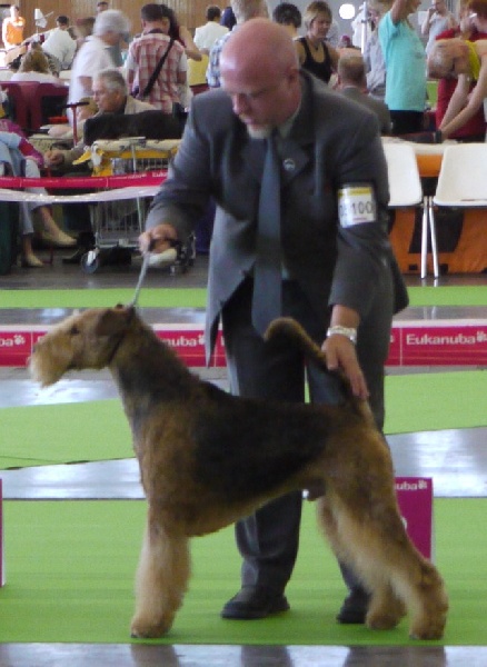 CH. Ducky dog of Utley - Excellent non classé / 7 engagés