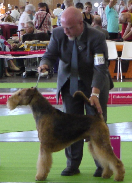 CH. Ducky dog of Utley - 1er excellent CACIC CAC Meilleur deRace