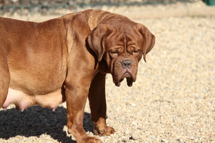 Publication : Des pas de tacite