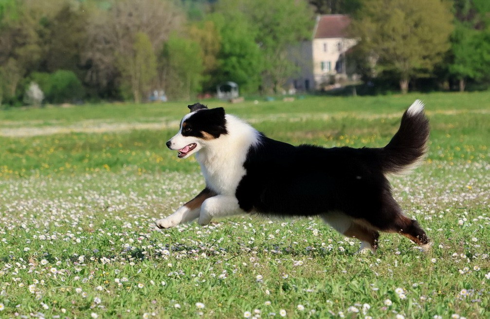 Usa Nebraska Black Du Paradis Sauvage De Menestruel