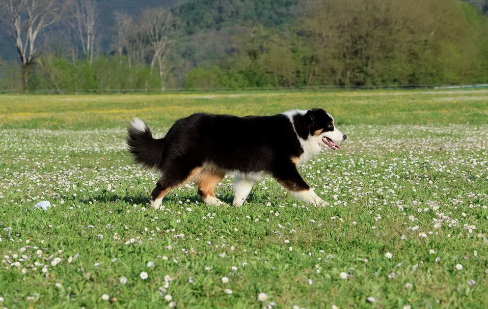 Usa Nebraska Black Du Paradis Sauvage De Menestruel